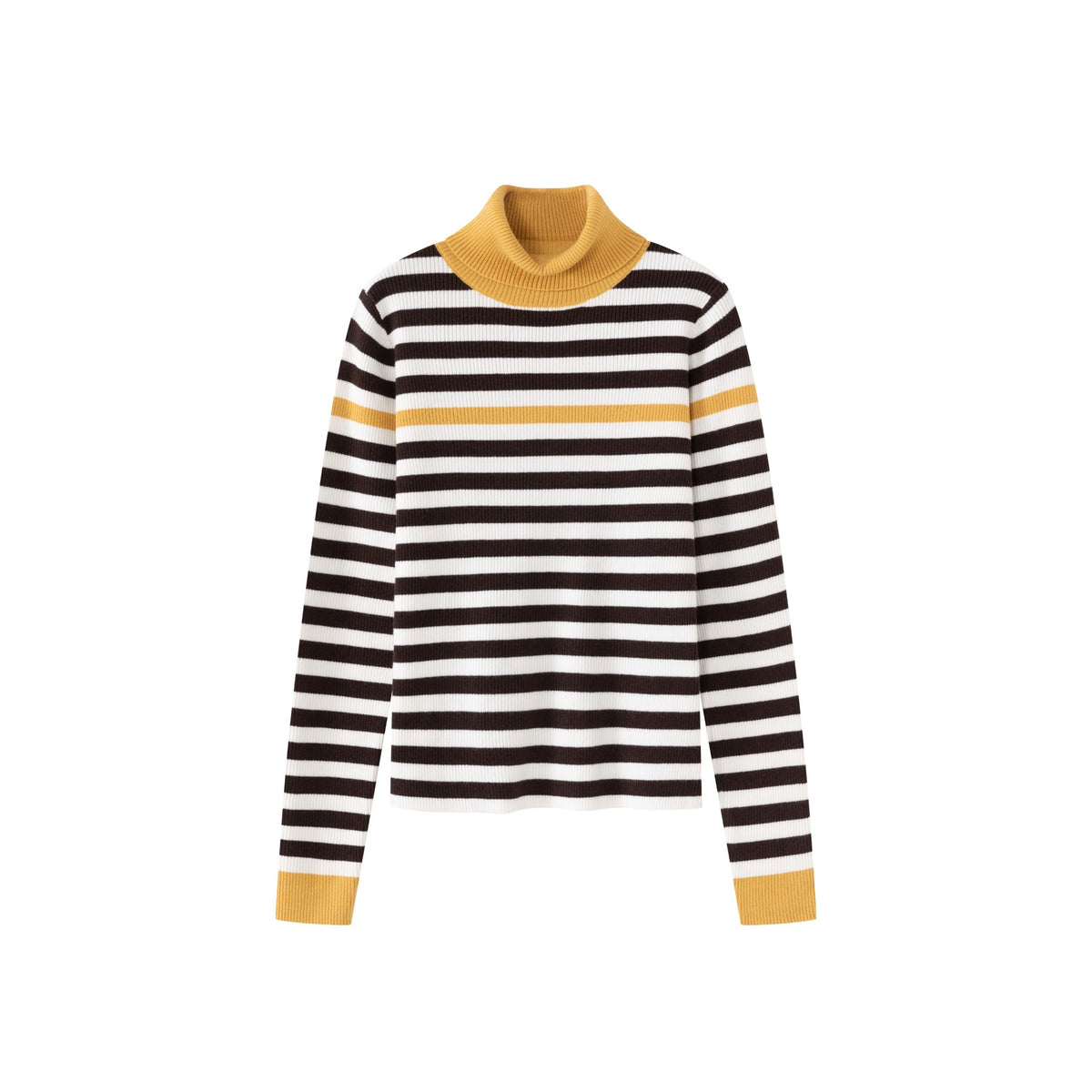 Stripe Turtleneck IN:BRY